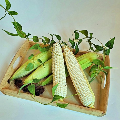 Content Image 1