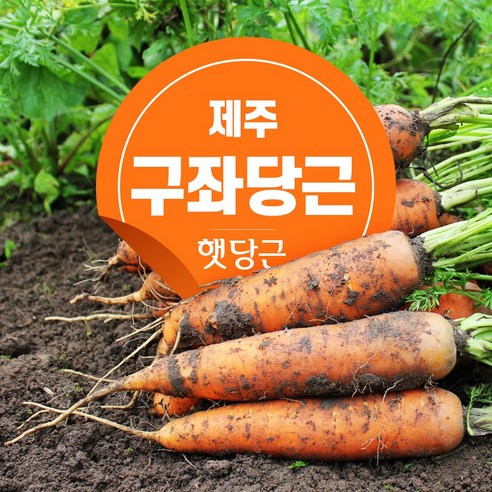 제주 구좌당근 햇당근 3kg 5kg 9kg, 1박스, 3kg(상)