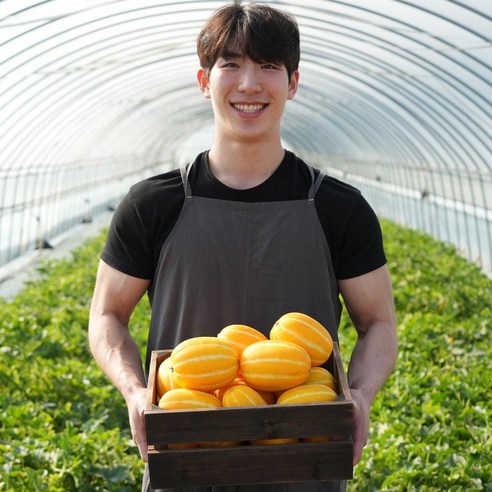 [당일수확발송]청년농부가 수확한 성주참외, 2.5kg 정품로얄과(9~14과), 1개