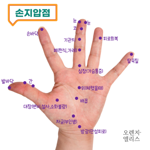 오렌지앨리스 귀지압패치로 건강과 아름다움을 동시에!