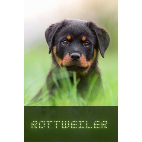 (영문도서) Rottweiler: Complete breed guide Paperback, Independently Published, English, 9798522844998