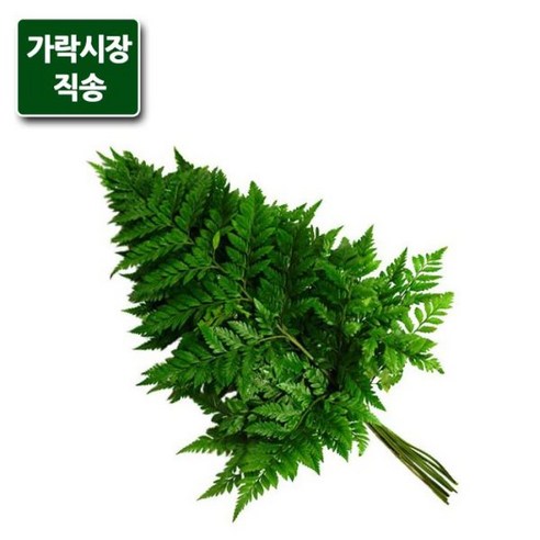 가락시장직송 노무라 1단(7-8개), 단품