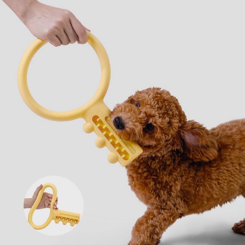 XIHAMA 강아지 터그놀이 장난감 열쇄 모양 노즈워크 급식기/물놀이 다용도 TPR 반려견 훈련용품, 1개, 옐로우