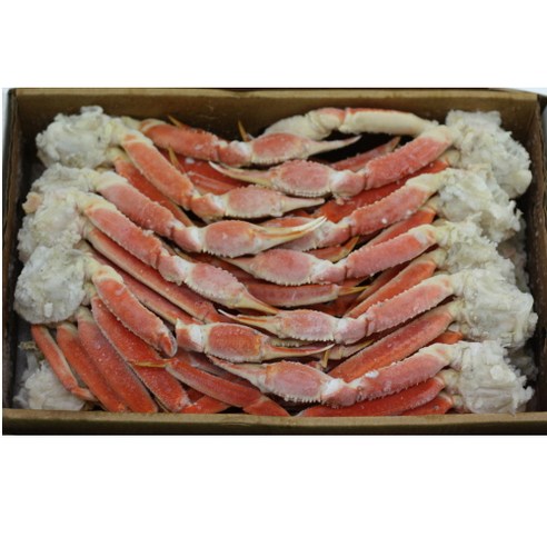 고품질의 러시아산 마가단 스노우크랩으로 특별한 해산물 향연을 만드세요.