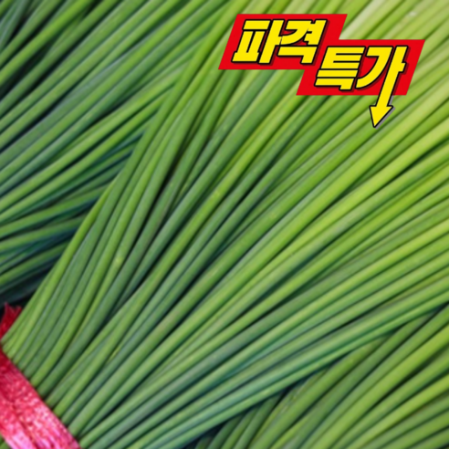 [고유가민생특가] 반값할인 국내산 100% 특품 마늘쫑, 1개, 10kg (특품)