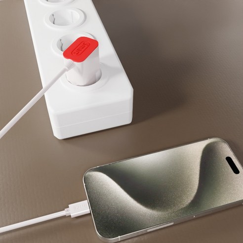 국내산 고속충전의 성공 신화