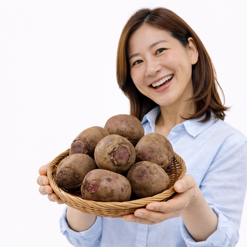 노씨고집 제주도 정품 햇 레드비트, 1개, 5kg 혼합과