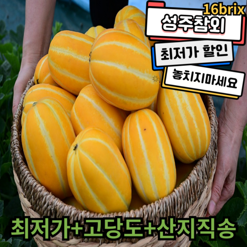 [청년마트] 산지직송 고당도 성주참외 못난이, 1개, 5kg