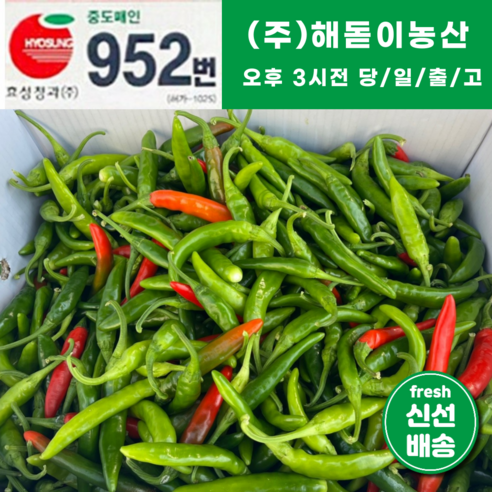 <해돋이농산> 국내산 땡초 매운 청양고추(상) 꽈리고추 특품 4kg 10kg 상세페이지 참조, 1개”></div>
<div style=