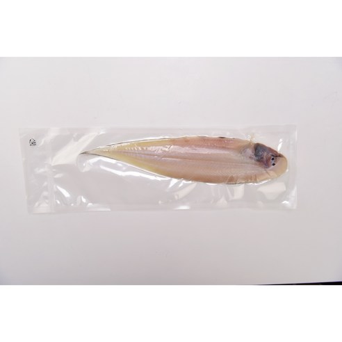 맛있고 영양가 풍부한 군산 박대, 48% 할인
