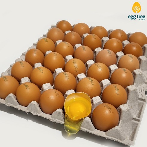 에그트리 생계란 농장직송 달걀, 30구(1800g이상), 특란
