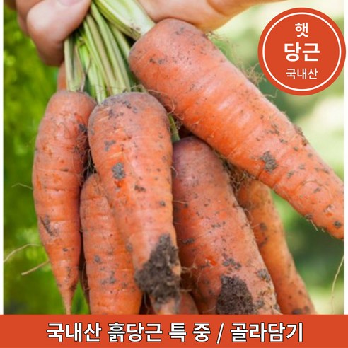 국내산 햇 흙당근 최상품 제주도 강원도 경남 1kg 3kg 5kg 10kg, 당근 특(요리용), 1개