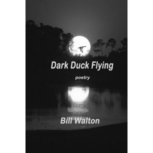 (영문도서) Dark Duck Flying Paperback, Independently Published, English, 9798372248564