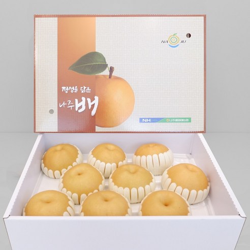 GAP 나주 배 특품 명절 설 선물세트 과일선물세트, 1박스, 5kg(8-10과)