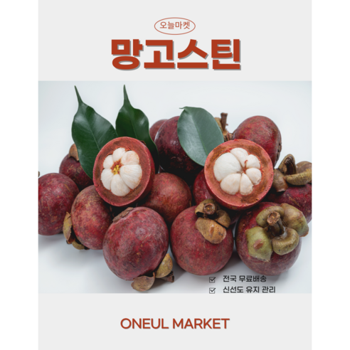 오늘마켓 고당도 생 망고스틴 열대과일 항공 배송, 3망(13-18수), 2개, 1.5kg