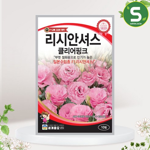 꽃 애호가의 절화 및 장식적 필수품: 리시안셔스클리어핑크