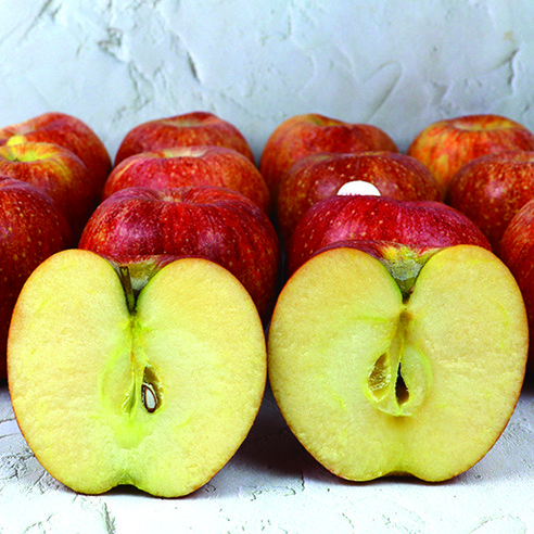 엔비사과는 유명한 곳에서 만들어진 주먹크기의 사과