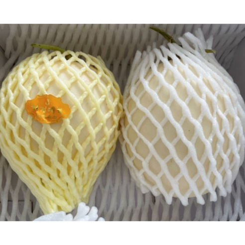수신메론 고당도 홈런스타 천안 함안 세지 메론 곡성 머스크 멜론3kg 5kg 선물용, 1개, 5kg(3~4수)