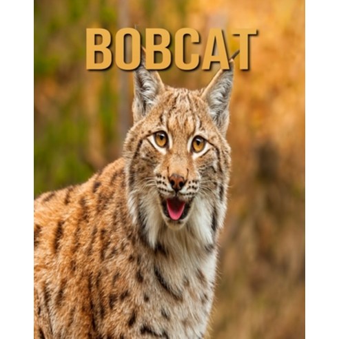 Bobcat Paperback, Independently Published
