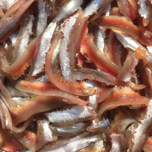 손질 걱정 없이 집에서 즐기는 싱싱한 기장 멸치회!