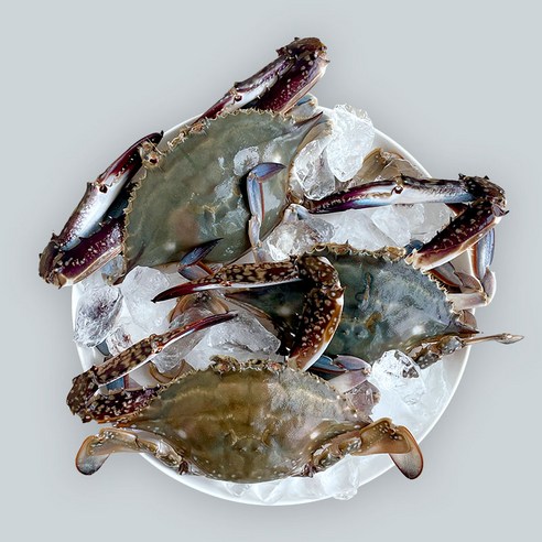 [24년 햇꽃게] 봉선장 당일조업 제철 생물 가을 활 숫꽃게 1kg(3~5마리), 1개