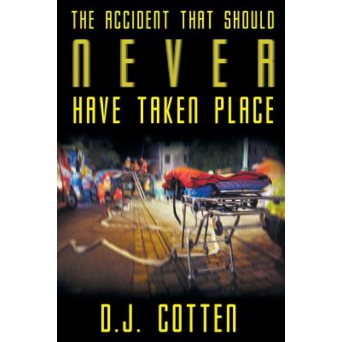 (영문도서) The Accident that Should Never Have Taken Place Paperback, Page Publishing, Inc., English, 9781642982336