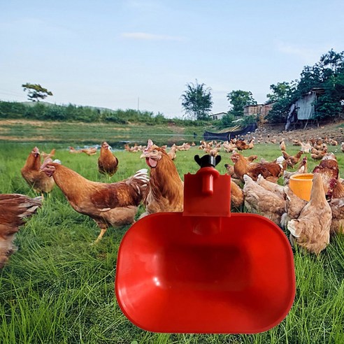 자동 치킨 물컵 닭 피더 컵 거위 새 물 디펜서 마시는 그릇, 1개