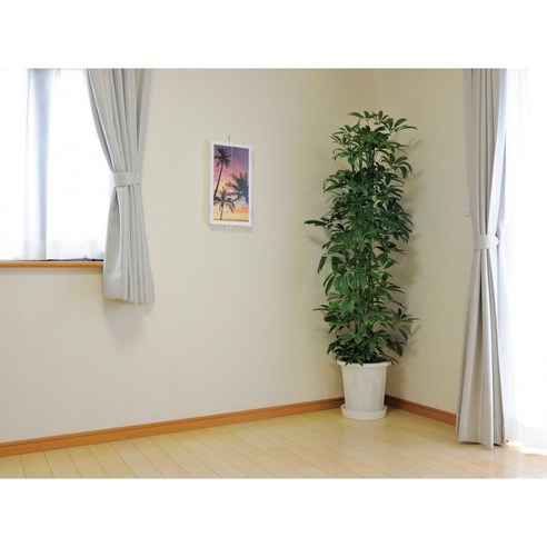 좁은 공간에도 마음의 평안을, 벽걸이 불단으로 해결하세요!