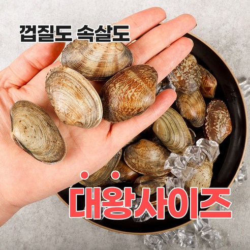 신선함이 넘치는 바다자리 다이버 왕 바지락