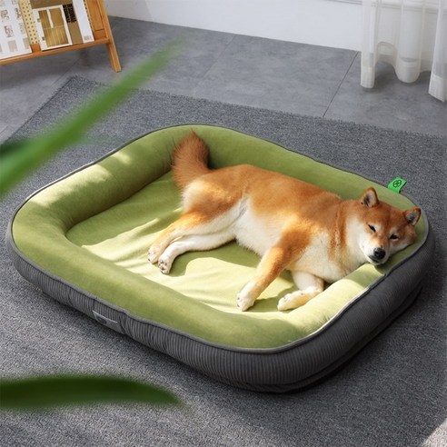 Anystar 푹신한 아르르 강아지 고양이 꿀잠해먹방석, 1개, 녹색
