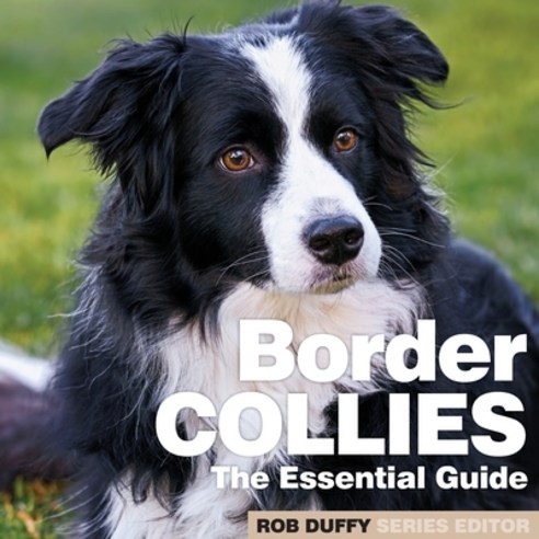 (영문도서) Border Collies: The Essential Guide Paperback, Bxplans.Ltd, English, 9781913296483