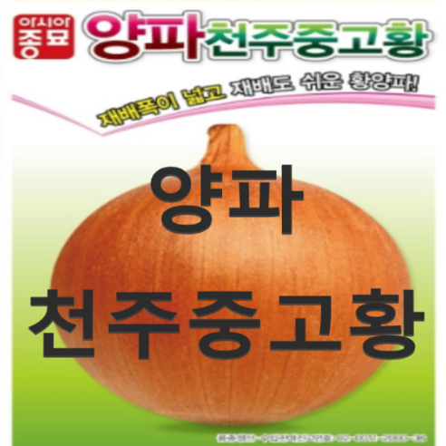 (아시아종묘) 양파 천주중고황 씨앗종자(100g) 1봉