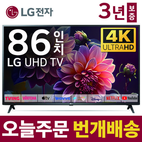 LG전자 86인치 TV 4K 울트라HD UHD 스마트 티비 86UQ7590 넷플릭스 유튜브 디즈니 미러링, 4.지방권스탠드