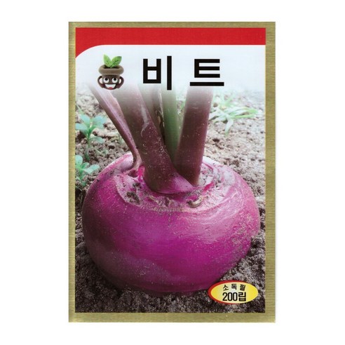 모칸도 동원 비트 씨앗 200립 1개 양파씨앗 모칸도 동원 비트 씨앗 200립 1개 양파씨앗
