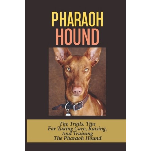 (영문도서) Pharaoh Hound: The Traits Tips For Taking Care Raising And Training The Pharaoh Hound: Fee... Paperback, Independently Published, English, 9798546745011