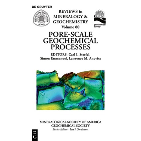 (영문도서) Pore Scale Geochemical Processes Paperback, de Gruyter, English, 9780939950966
