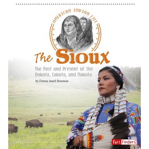 The Sioux: The Past and Present of the Dakota Lakota and Nakota Hardcover, Capstone Press