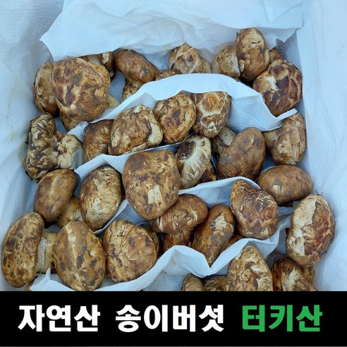 송이버섯 자연산 냉동 터키산, 3S급(60~80송이내외, 모양크기랜덤), 3S급 1kg, 1개