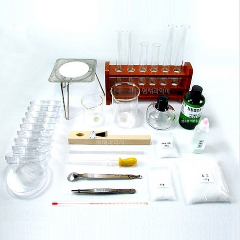 집에서 즐기는 신나는 과학실험실! 아이의 과학적 사고력을 UP!