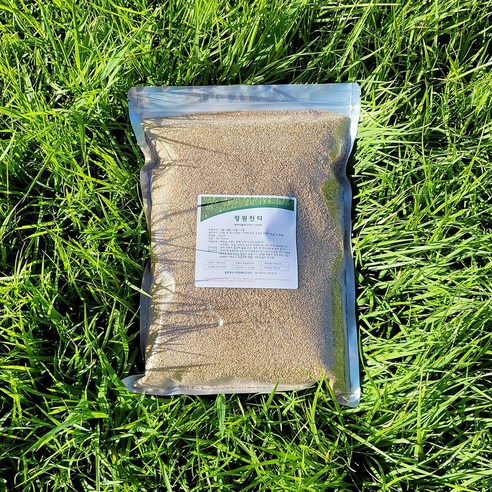 [진공포장] 정원잔디 켄터키블루그라스 (약5~20평) 250g/500g/1kg 천연잔디씨앗