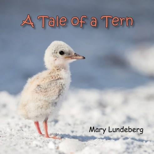(영문도서) A Tale of a Tern Paperback, Nature Connections, English, 9781942340126