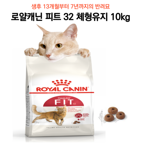 로얄캐닌 캣 피트 FIT 10kg