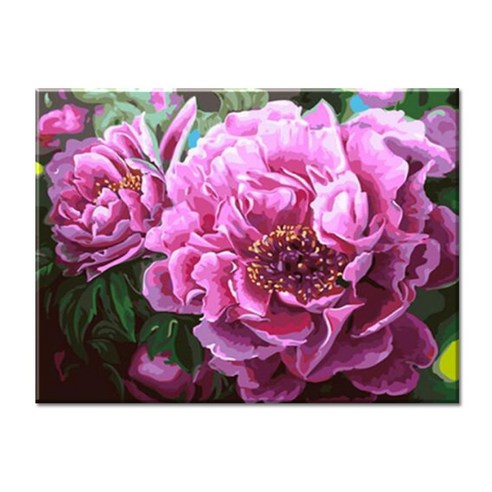 모모픽스페인팅 DIY명화그리기 40x50cm, 화려한 모란꽃, 1개