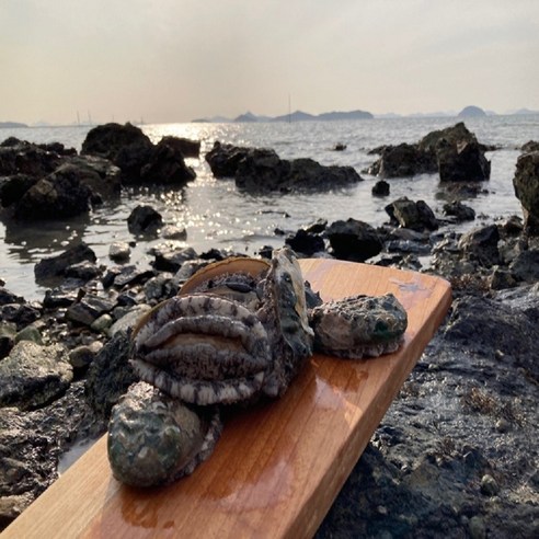 진도에서 온 신선하고 영양가 풍부한 전복으로, 다양한 요리에 손쉽게 사용할 수 있습니다.