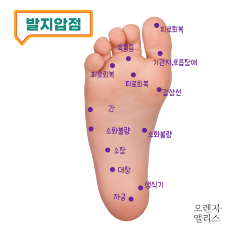 오렌지앨리스 귀지압패치로 건강과 아름다움을 동시에!