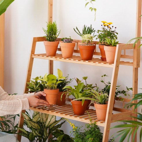 아늑한 베란다의 완벽한 동반자