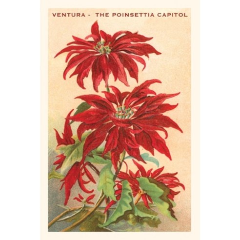 (영문도서) The Vintage Journal Ventura The Poinsettia Capital Paperback, Found Image Press, English, 9781648116810