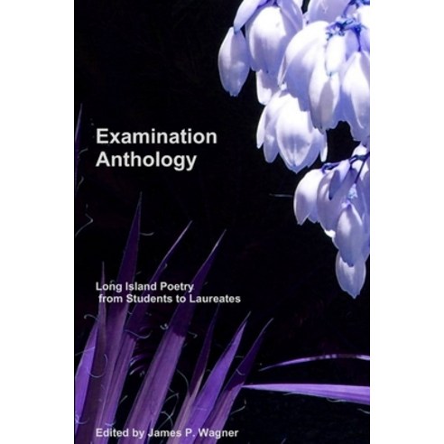 (영문도서) Examination Anthology Paperback, Lulu.com, English, 9780557316700