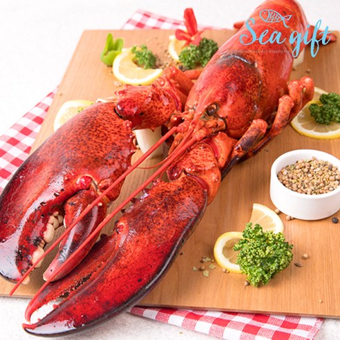 씨기프트]랍스터 4.54Kg 300350 13미 자숙 버터구이 찜 하드쉘, 단품 - 가격 변동 추적 그래프 - 역대가