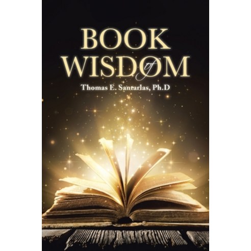 (영문도서) Book of Wisdom Paperback, Page Publishing, Inc., English, 9781645847687